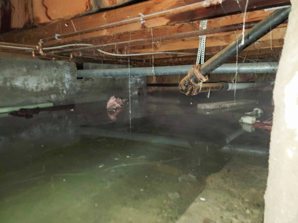 Reliable Dewey Humboldt, AZ Water damage restoration Solutions