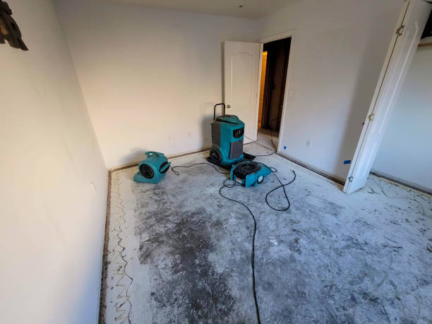 Best Emergency water damage restoration  in Dewey Humboldt, AZ