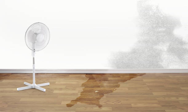 Best Flood restoration services  in Dewey Humboldt, AZ