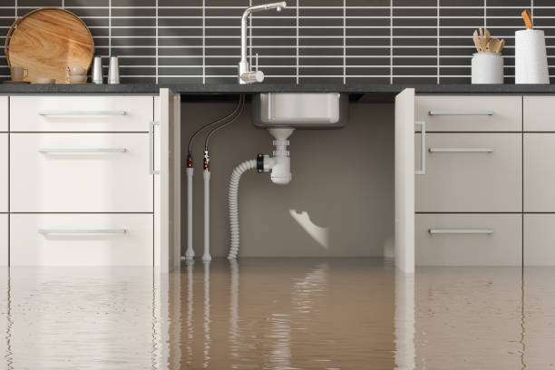 Best Water damage contractors near me  in Dewey Humboldt, AZ