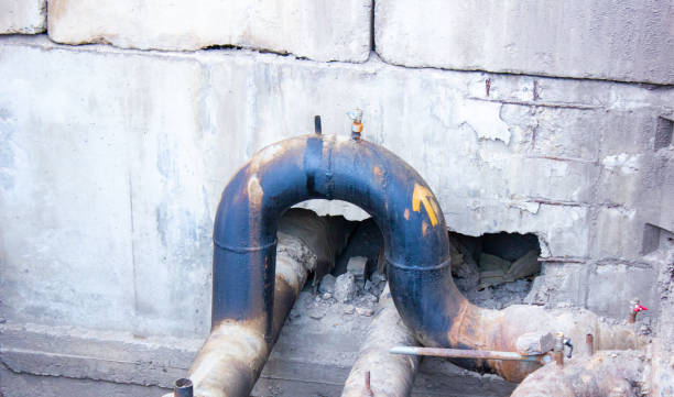 Best Sewage cleanup and water damage restoration  in Dewey Humboldt, AZ