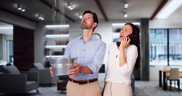 Best Flood damage cleanup  in Dewey Humboldt, AZ