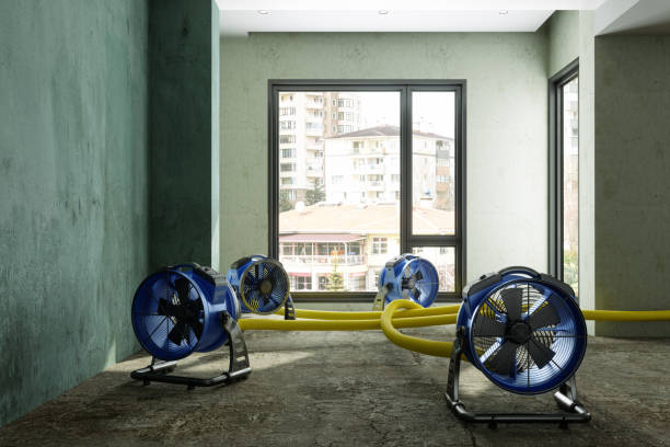 Water damage restoration process in Dewey Humboldt, AZ